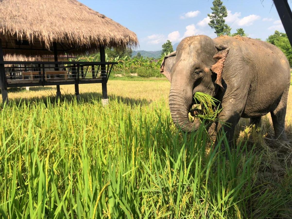 Paiberngboc Resort Kenue Kang Exteriör bild